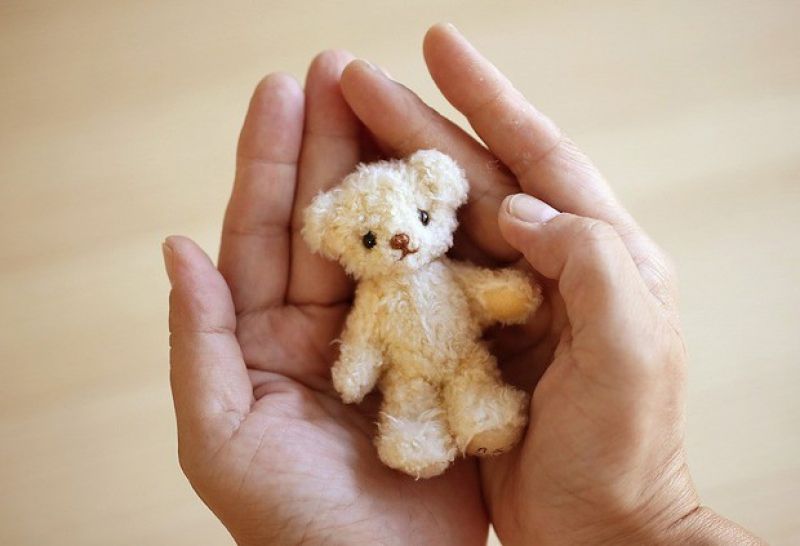 gau-bong-tre-so-sinh-nhat-ban